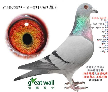 6.����ƥ�˻��ض�x����.0313963