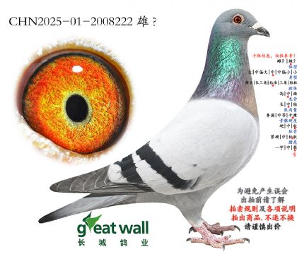 7.�Ǳ�x����Ѫϵ.2008222