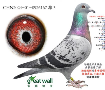 8.����һ�����.0926167