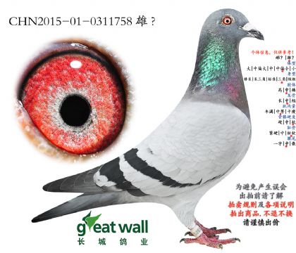 9.�޴���ض��Ӵ�.0311758