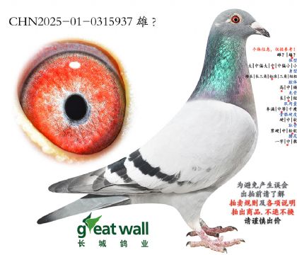 10.������x�����.0315937