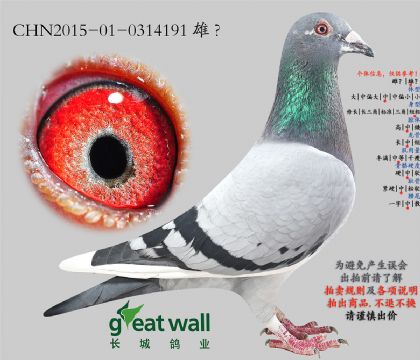 11.���ض���Ѫ.0314191