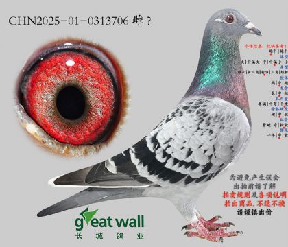 13.�������x��ѻ��ض�.0313706