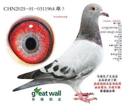 12.��������.0311964