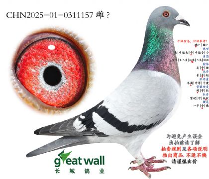 15.��ѩ����x��ɪ��.0311157