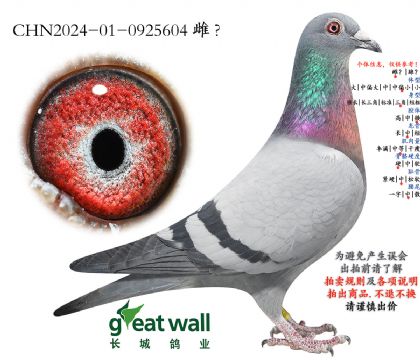 14.������779���.0925604