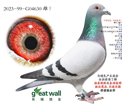 16.ͼ��˹003���.04630