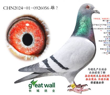 18.ʮ����ھ�ȫ���Ӵ�.0926056