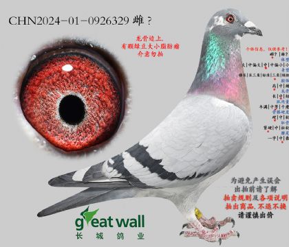 17.����x������900.0926329