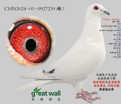 20.С��12���.0927239