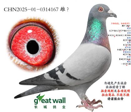 19.�����¸һ��Ӵ�.0314167