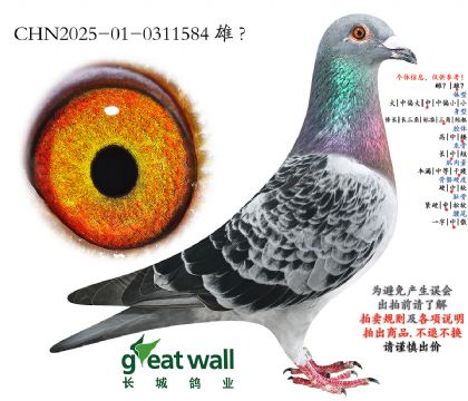 2.������ķ�ȷ����.0311584