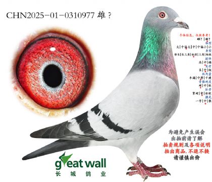 1.����ͷ���.0310977