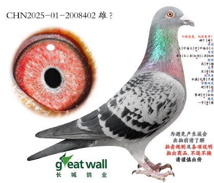 3.����˹���Ӵ�.2008402