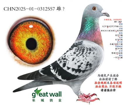 6.�¶�x��ʱ��.0312557