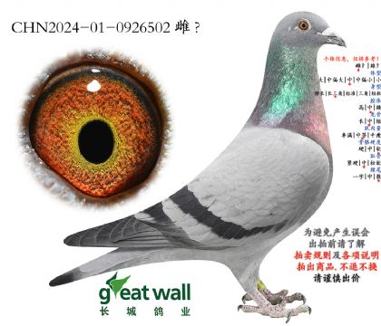 9.�Ǳ�x�¿�����.0926502