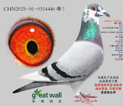 10.����ͷȫ�����.0314446