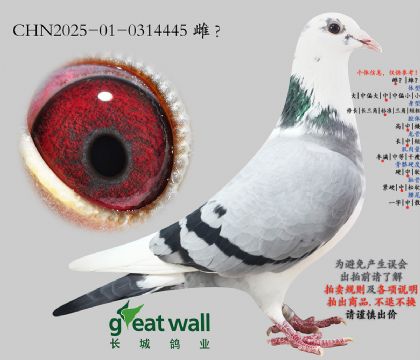 11.����ͷȫ�����.0314445