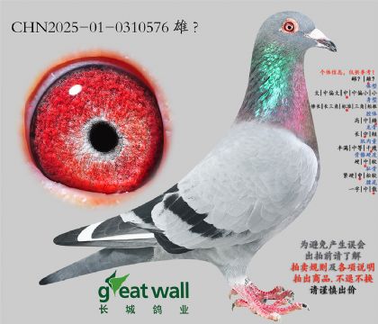 13.���ٰ����.0310576