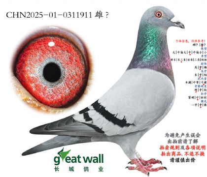 14.����������.0311911