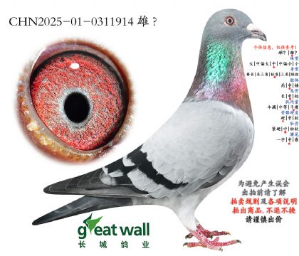 16.�������55��ƽ��.0311914