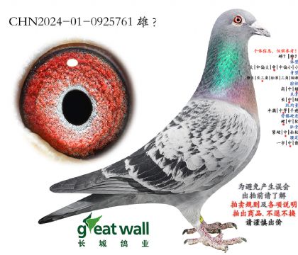 15.������779���.0925761