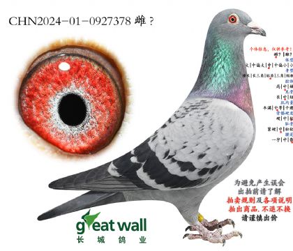 17.����һ�Ž�Ѫ.0927378