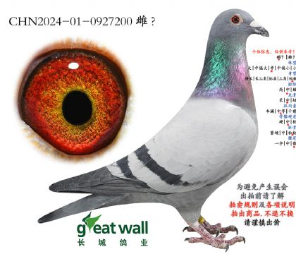 18.ղ��˹801���.0927200