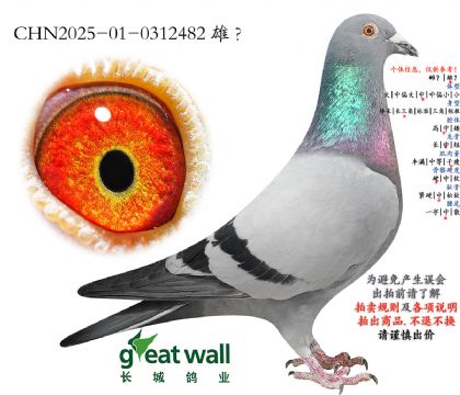 19.ͼ��˹003��Ѫ���.0312482