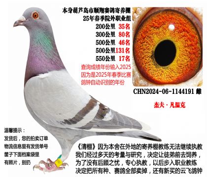 25年春季多关成绩鸽,550公里17名等(杰夫·凡温克)