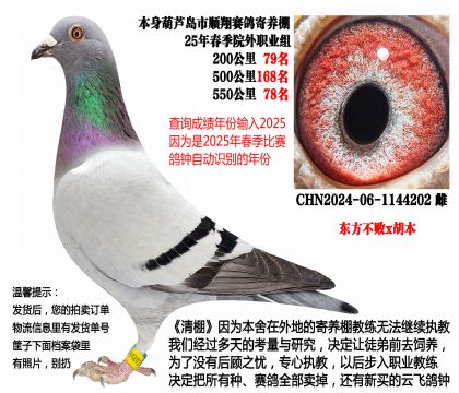 25年春季多关成绩鸽,550公里78名等(东方不败x胡本)