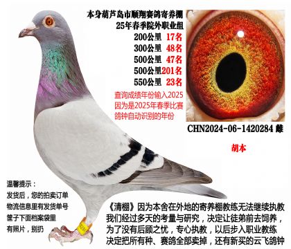 25年春季多关成绩鸽,4次前百名(胡本)