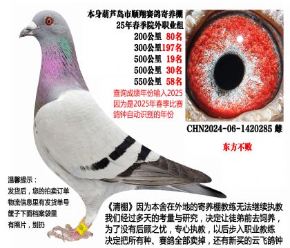 25年春季多关成绩鸽,4次前百名(东方不败)