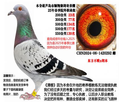 25年春季多关成绩鸽(东方不败x胡本)