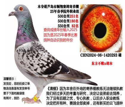 25年春季多关成绩鸽(东方不败x胡本)