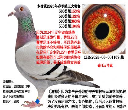 25年春季4次500公里(帝王x马克·罗森斯)