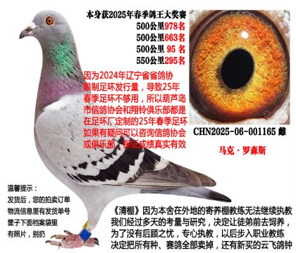 25年春季4次500公里(马克·罗森斯)