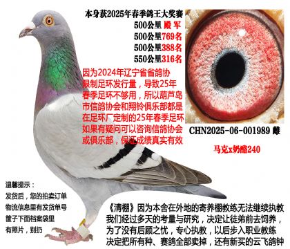 25年春季4次500公里,500公里4名(马克x奶酪240)