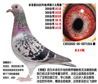 25年秋季多关成绩鸽,4次500公里(东方不败)