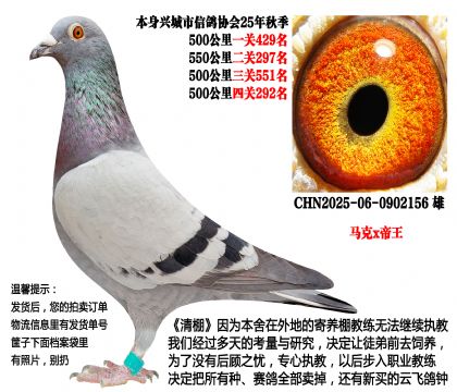 25年秋季4次500公里(马克·罗森斯x帝王)