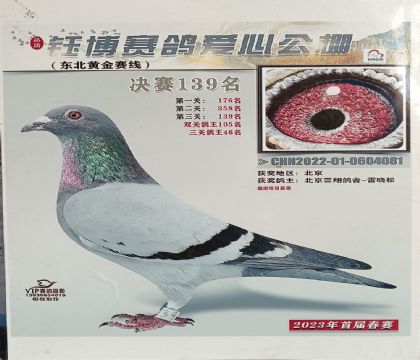 唐山钰博赛鸽爱心公棚三关鸽王46名 雄