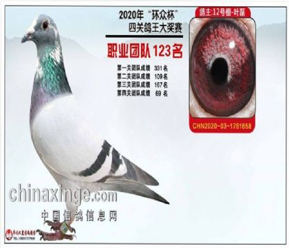 保定环众赛鸽俱乐部“环众杯”四关鸽王院内123名