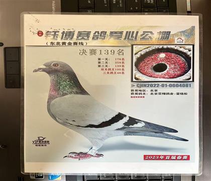 ����Ƭ��뷢��