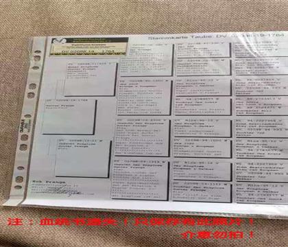 Ѫͳ����ʧ��ֻ�������Ƭ