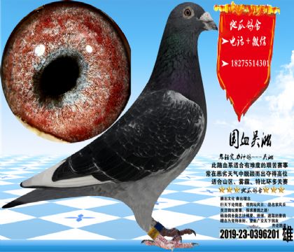 �������һ��ۣ��������������Ա�֤ʵս