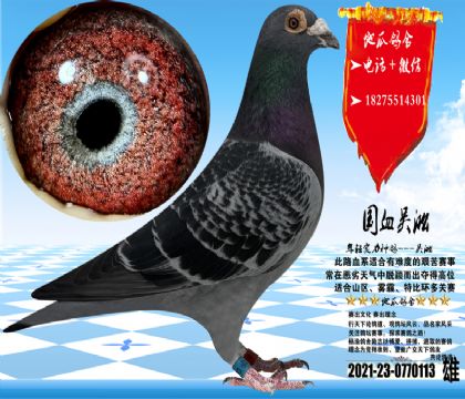 �������һ��ۣ����ʿ���ʦ����ϵ