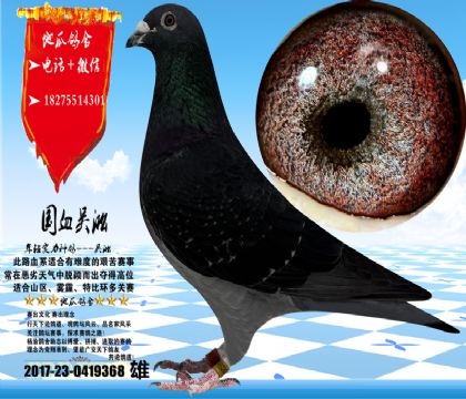 ���ʿ���ʦ����ϵ��21��������17����ڻ������ѳ��ۣ����ڻ������Ӿ������ᣬ������