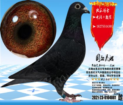 �����ݻ��۴ƣ������ָ�һ������ɳʵ�ʸ�Ư��