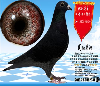 �������һ��ƣ������ָ�һ������ɳʵ�ʸ�Ư��