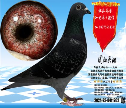 �������һ��ƣ�����ʵս������ë